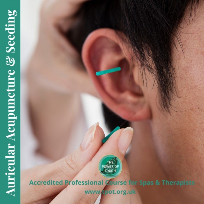 Auricular Acupuncture & Seeding 